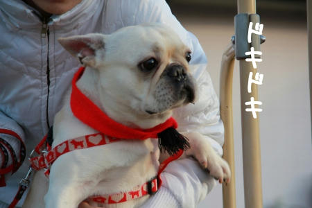 マフラーする＝お出かけする