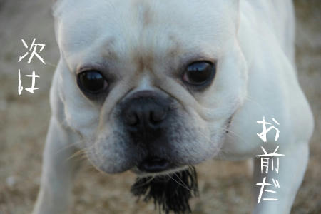 怖かった様子