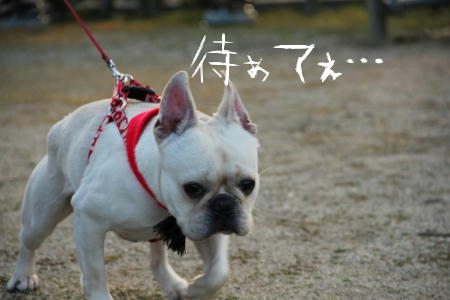 目が本気