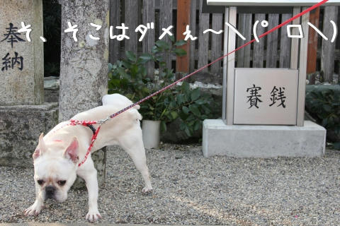 すみません、すみません…