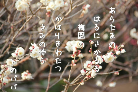 とのの、前足のおしっこの臭いと、かけてます