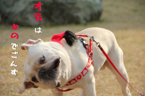 坂下先生、すみません…