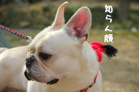 こっちむいてってば！