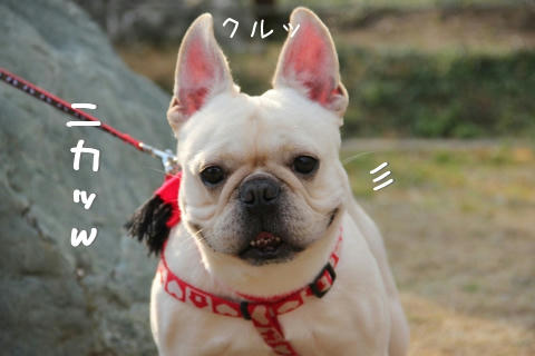 あれれ？