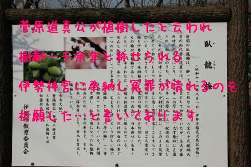 よく撮れてたらしい…