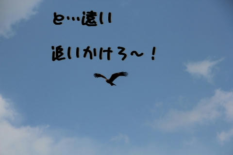 ダッシュ～