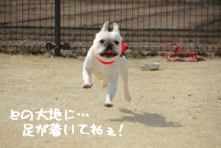 とのも飛翔!?