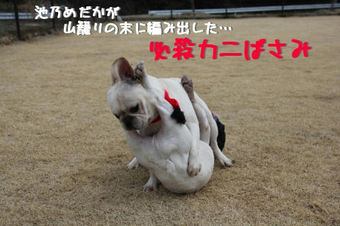 でたぁ～