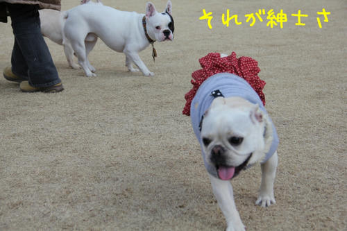 とのも、こんなお兄さんになりなさい
