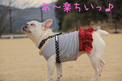 こむぎ満足♪