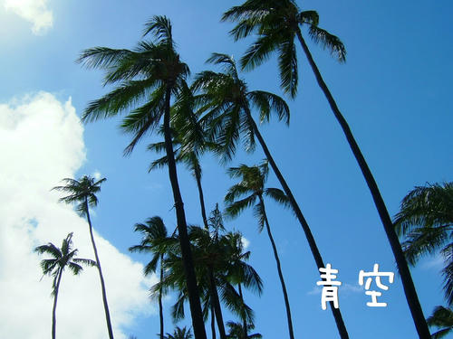 Blue sky