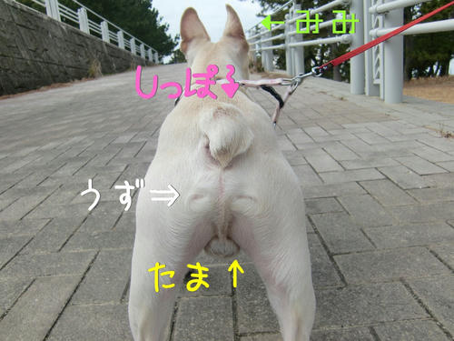 クリッククリック♪