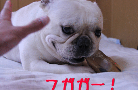 ふがっふががー！