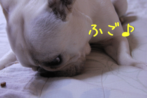 ふごふご～…?ふご?