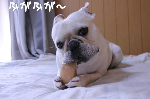 ふがふが