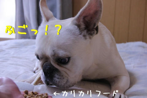 ふごふご!?