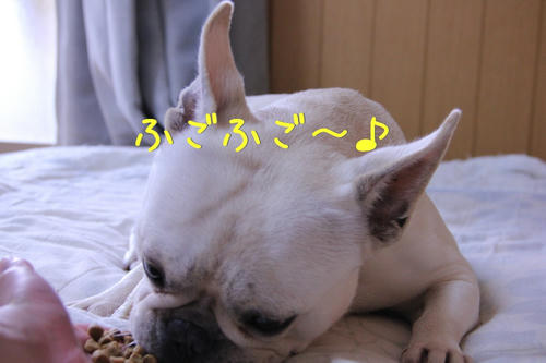 ふごっふごふごご♪