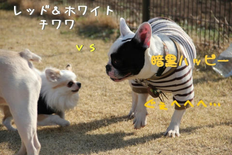ハッピー乱入~
