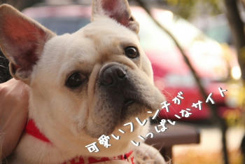 クリックして遊ぼうねぇ♪