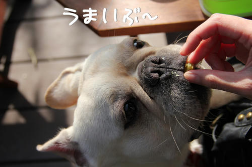 うまいも～