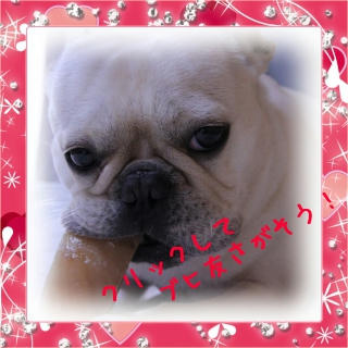 くりっくぶ～