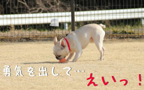 君ならきっとできる