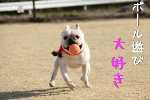 めでたしめでたし