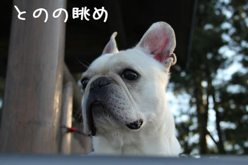 日が沈む海を眺めるとの