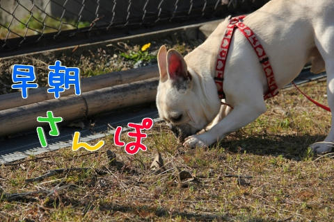 ちょっと方針リニューアル