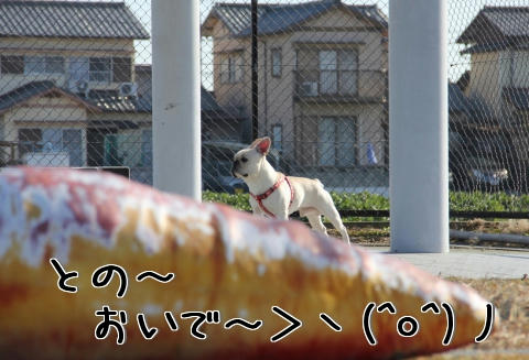 呼んでみます
