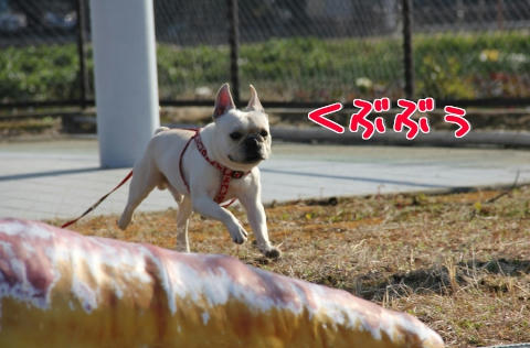 こっちだよ～