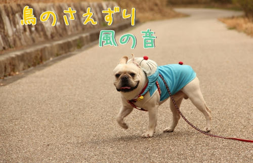 林道にて