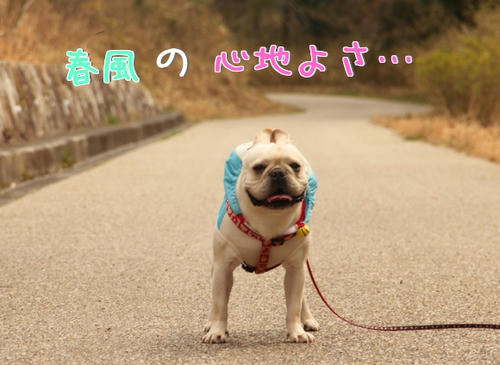 そよぐ春風