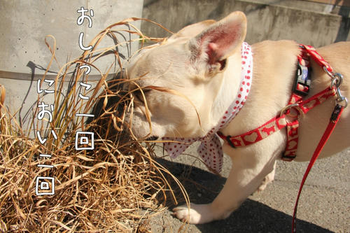 おしっこ一回、におい二回