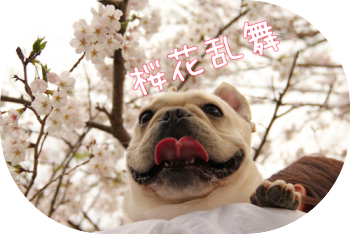 クリック乱舞