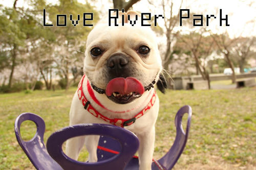 Love River Park