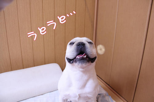 ね～むれ～ね～むれ～♪お～との～さ～ん～♪