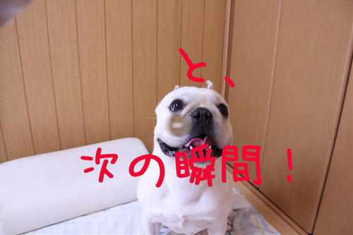 ！！！！！！！！！！！！！！！！！！！！