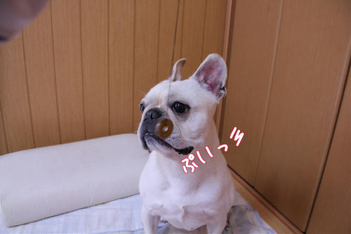 あ、やっぱりね