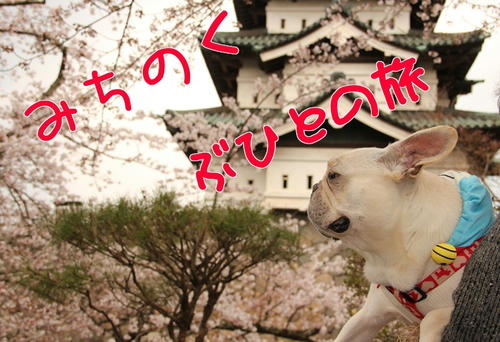 やっとついたよ…