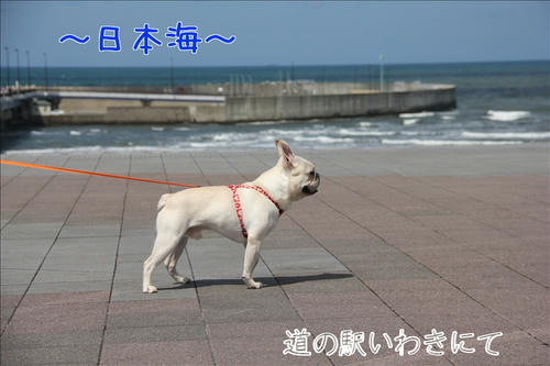 快晴です