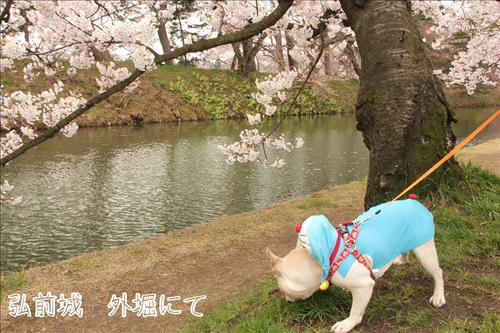 大勢の人でにぎわってました