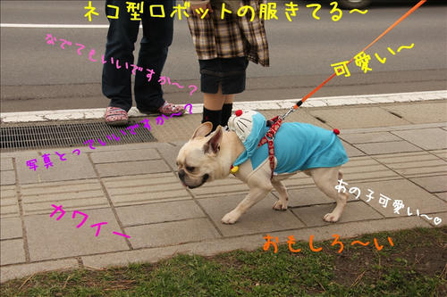 モテモテ