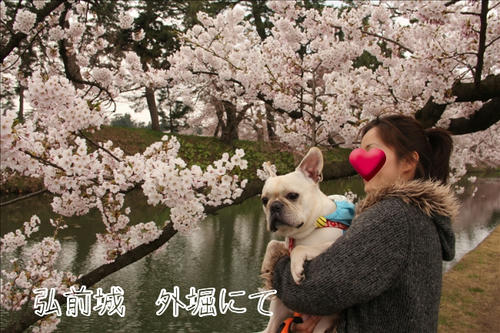 ナニハトモアレ