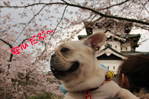 抱っこ交代