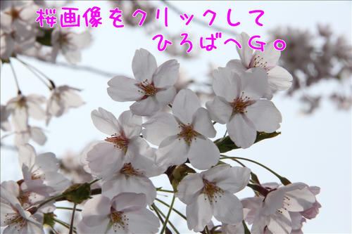 クリックお願いします