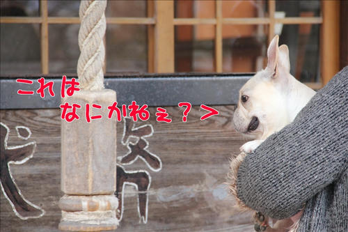 それは鈴です