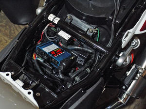 P1000548_edited-1.jpg