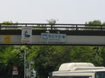 n1.jpg