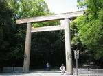 n2.jpg